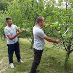 rad-u-vocnjaku-150x150 Start up akademija u Žepču razvija uspješne male biznise